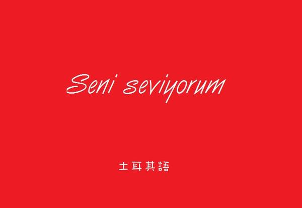 專(zhuān)業(yè)土耳其語(yǔ)翻譯公司具備的特點(diǎn)